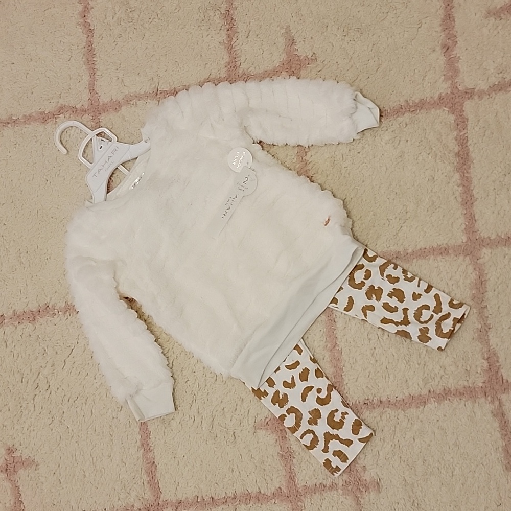 NWT 2t girls outfit